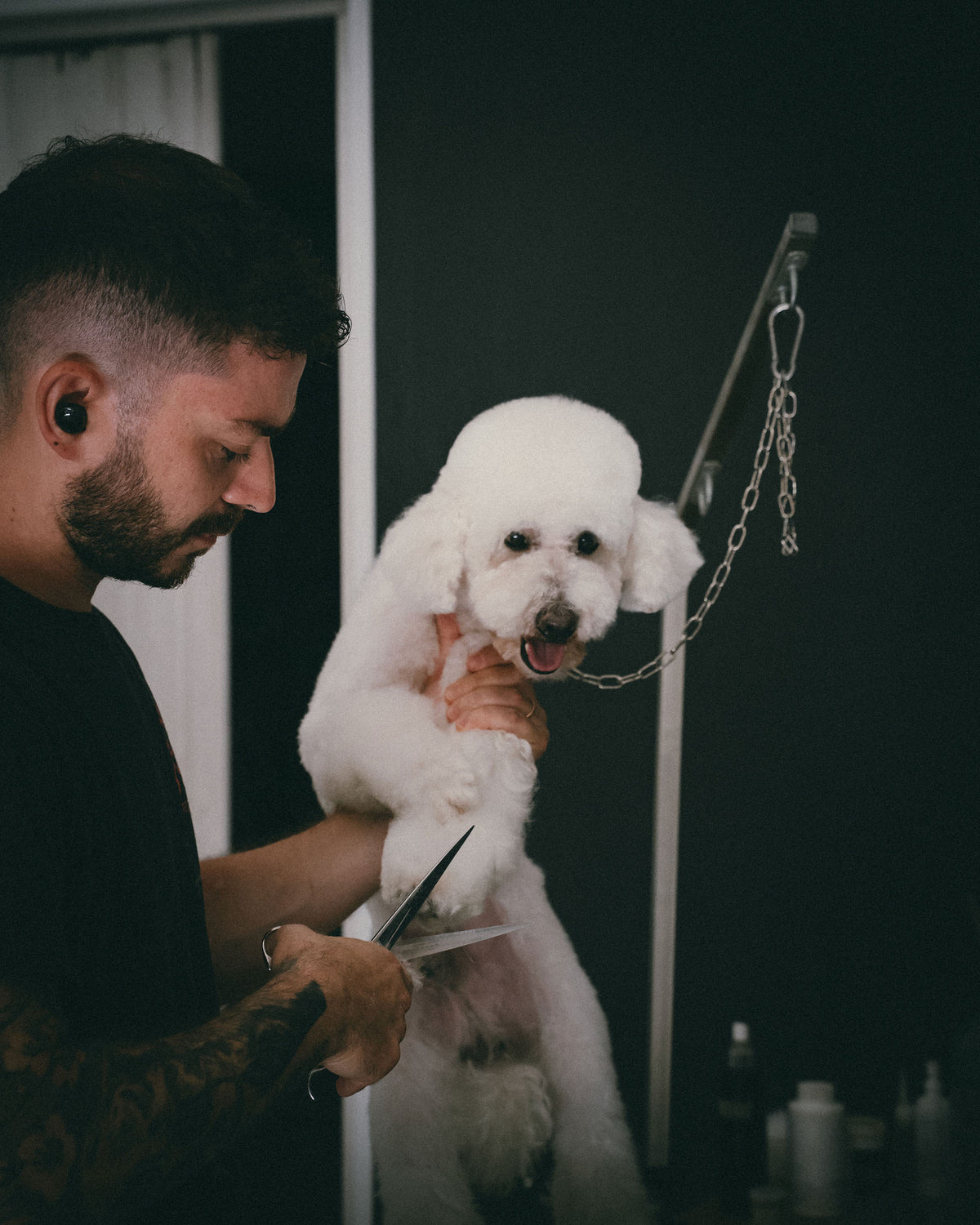 Rufee pet friendly
